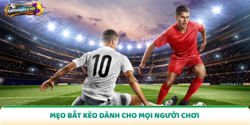 Mẹo bắt kèo dành cho mọi người chơi